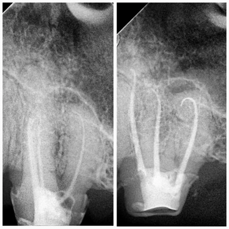 mudr-senad-ligata-portfolio-3