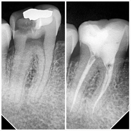 mudr-senad-ligata-portfolio-4