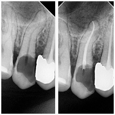 mudr-senad-ligata-portfolio-6